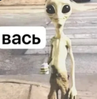 Васька