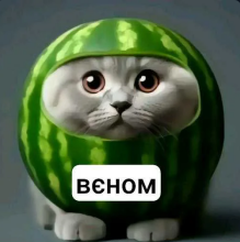 Веном